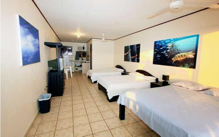Hotel Blue Palm Jacó Eksteriør bilde